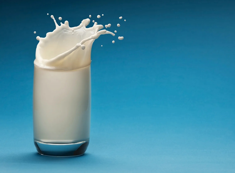 dont eat milk with curd