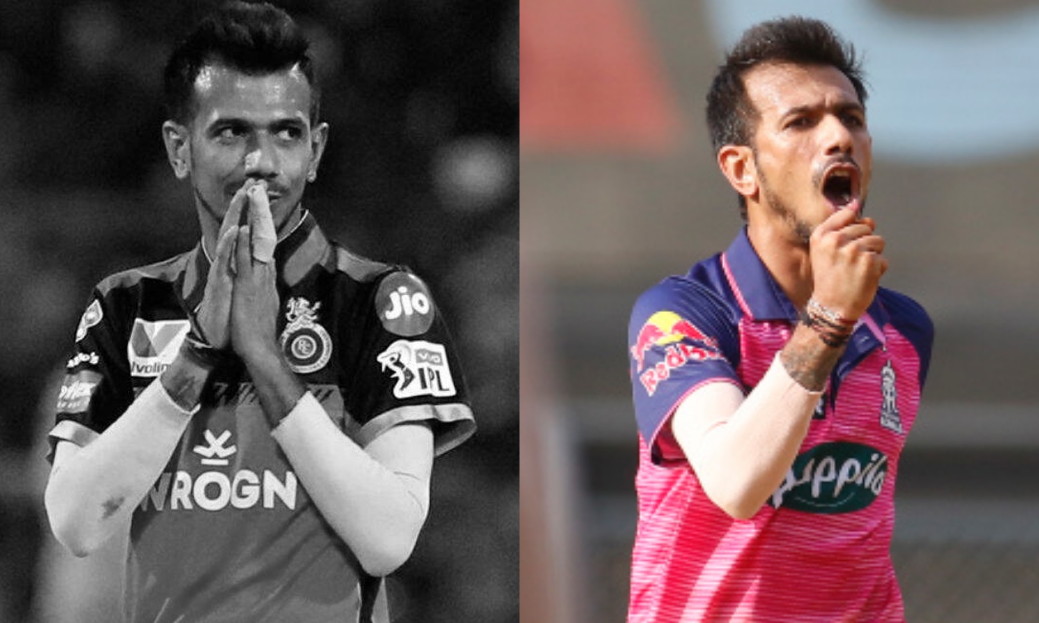Chahal-1