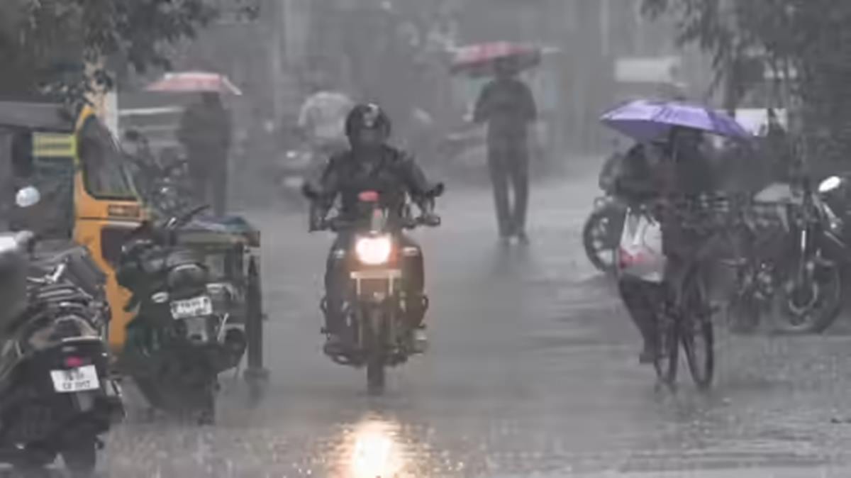 TNRains