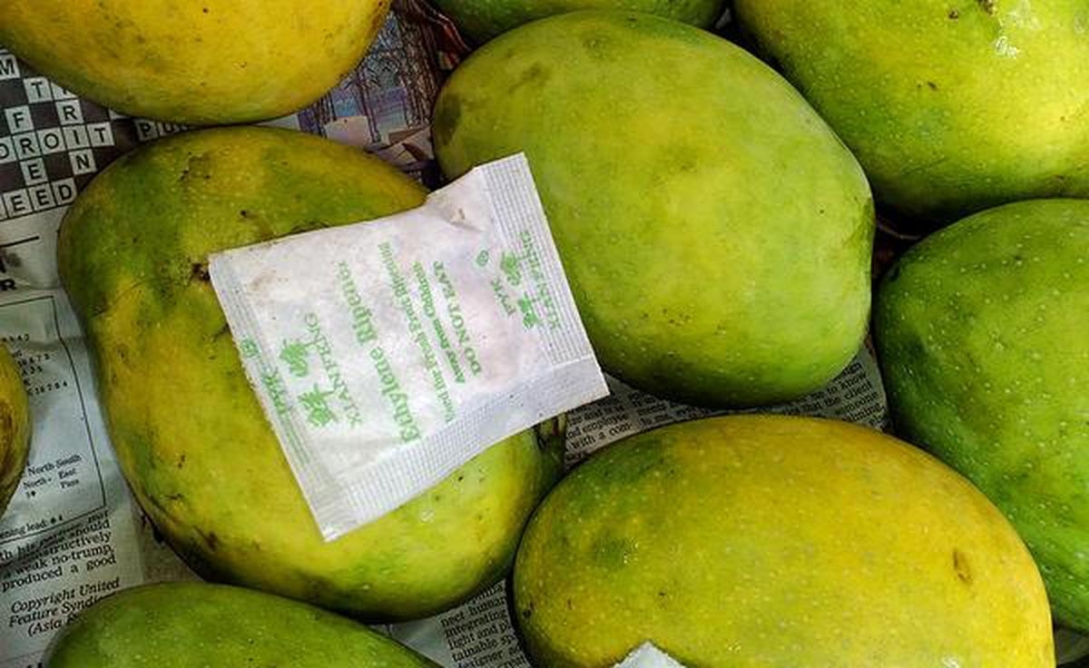 carbide mangoes