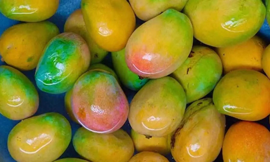floating mangoes
