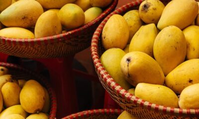 fresh mangoes1