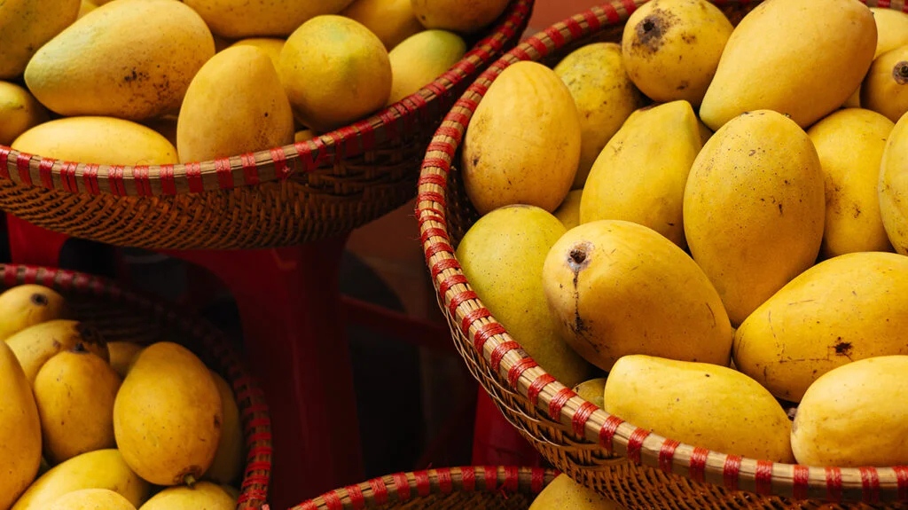 fresh mangoes1