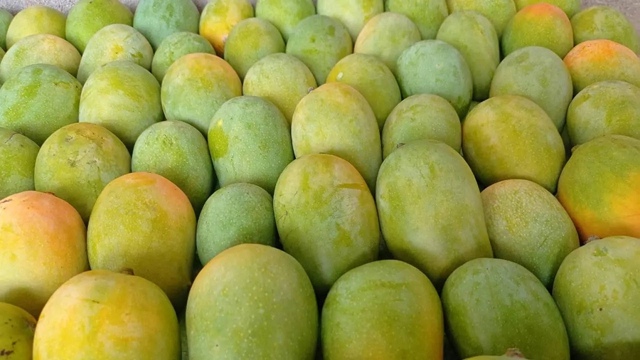 avoid curd with mango