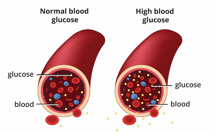 regulate blood sugar level