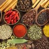 spices board of india recruitment