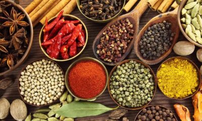 spices board of india recruitment