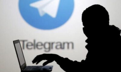 telegram scammers
