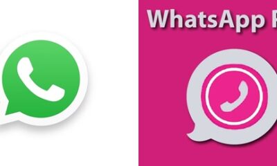 whatsapp pink scam