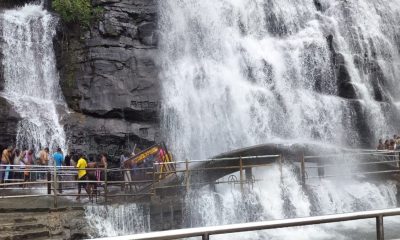 Falls